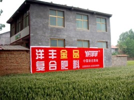 甘孜如何让墙体广告展现最大化效果
